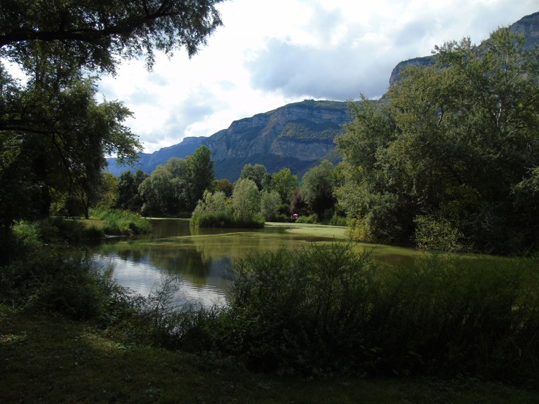 1marais montfort (8).JPG
