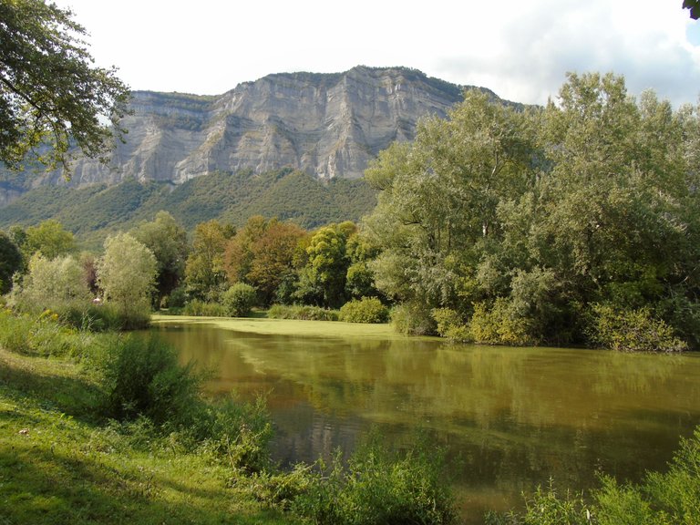 1marais montfort (9).JPG