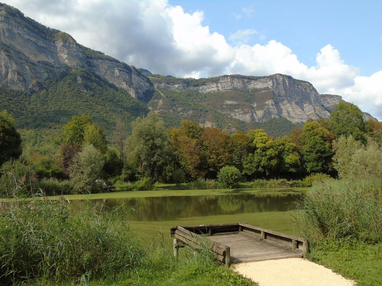 1marais montfort (7).JPG