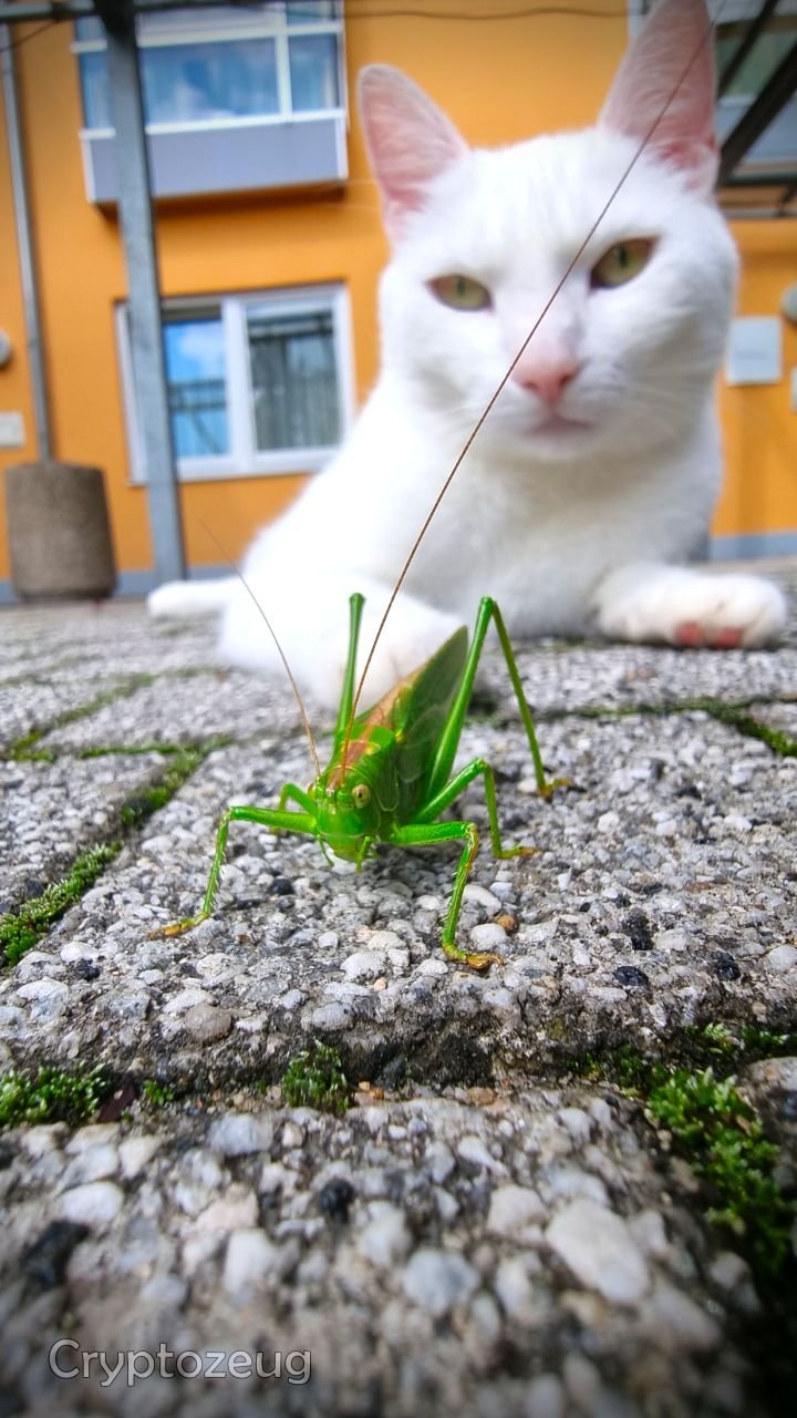 What will happen next?