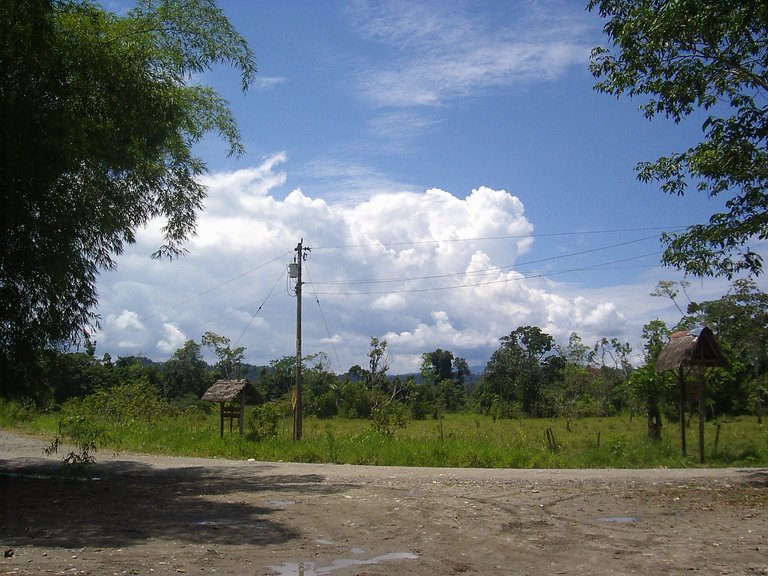 179.jpg