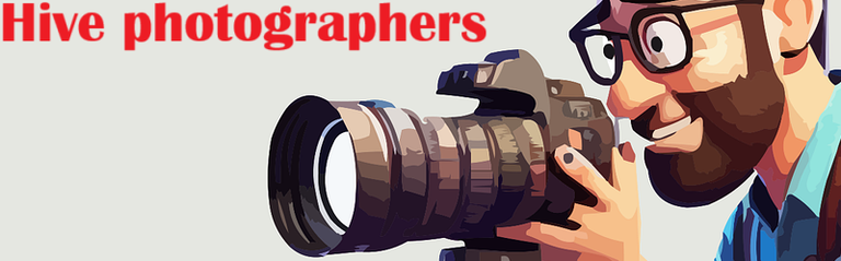 banner_hive_photographers.png