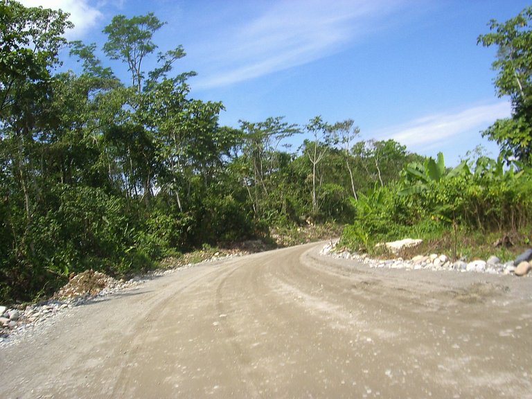 181.jpg