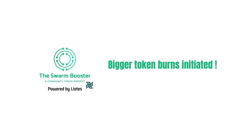 Bigger token burns initiated !.jpg