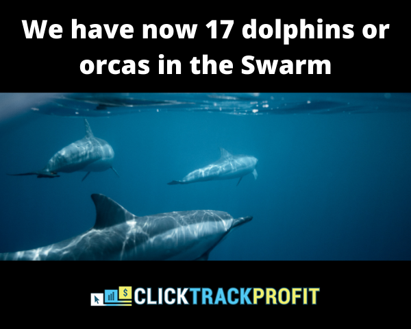 We have now 17 dolphins or orcas in the Swarm.png