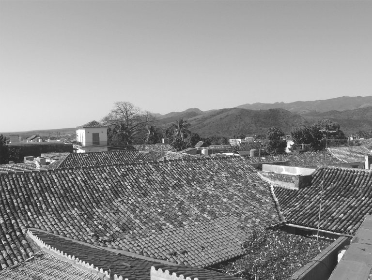 FOTO 7.jpg