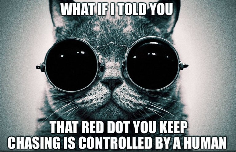 Red Dot.jpg