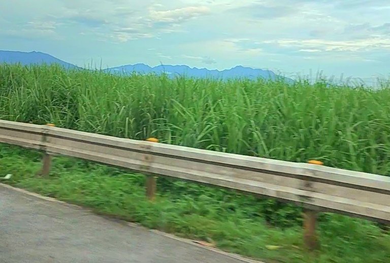 VideoCapture_20240506-175238.jpg