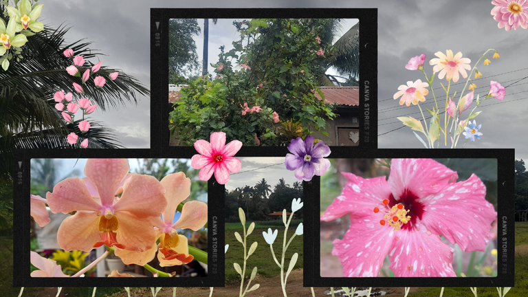 Flowers Thumbnail.png