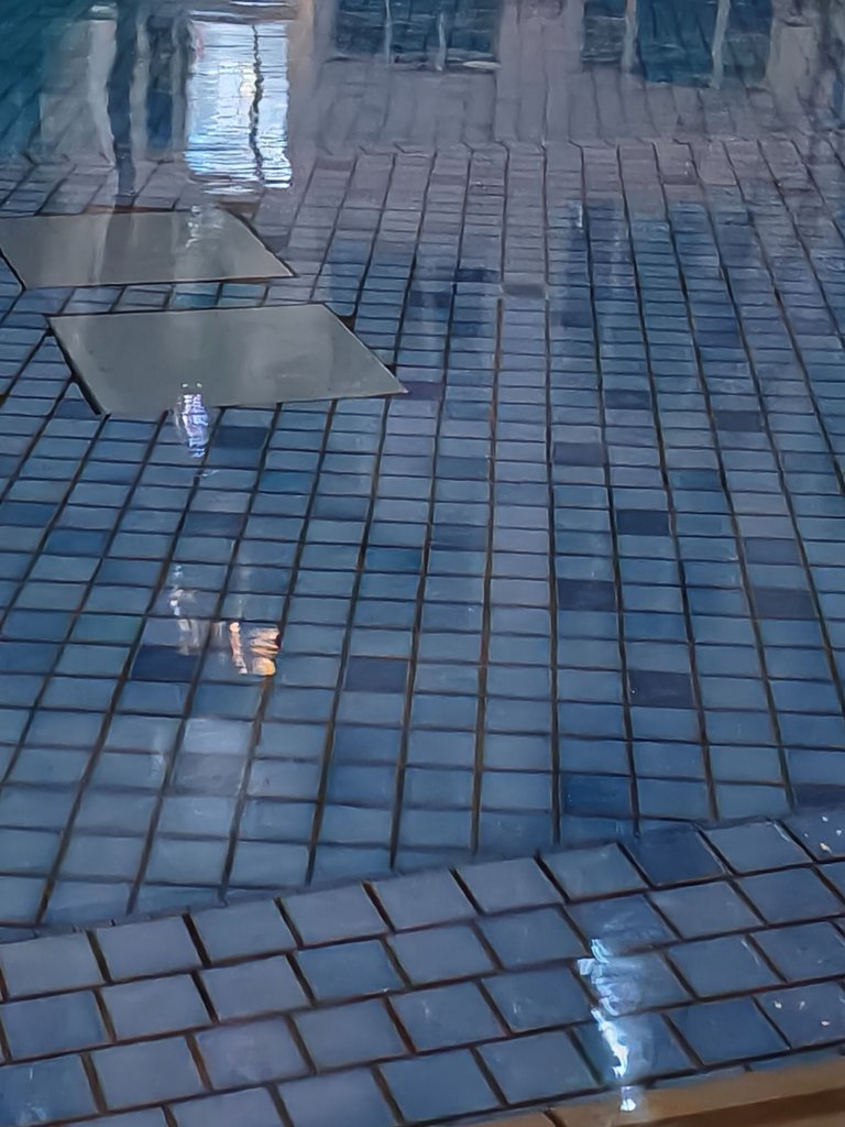 1000035799.jpg