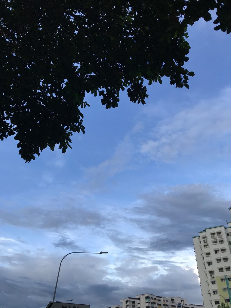 24EE3147-AB6F-4648-8000-D7637FA5709A.jpeg