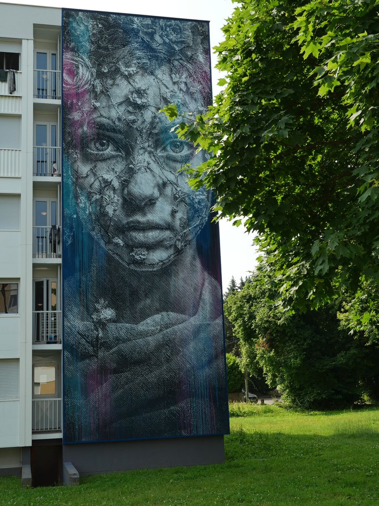 P1000491.JPG