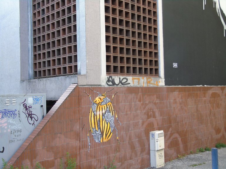 DSC06140.JPG