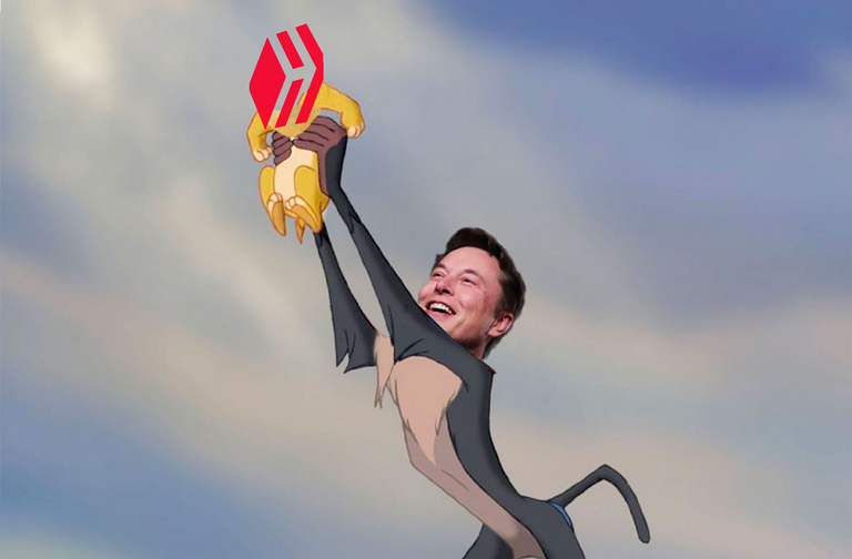 1612461300elonmusklionking.png