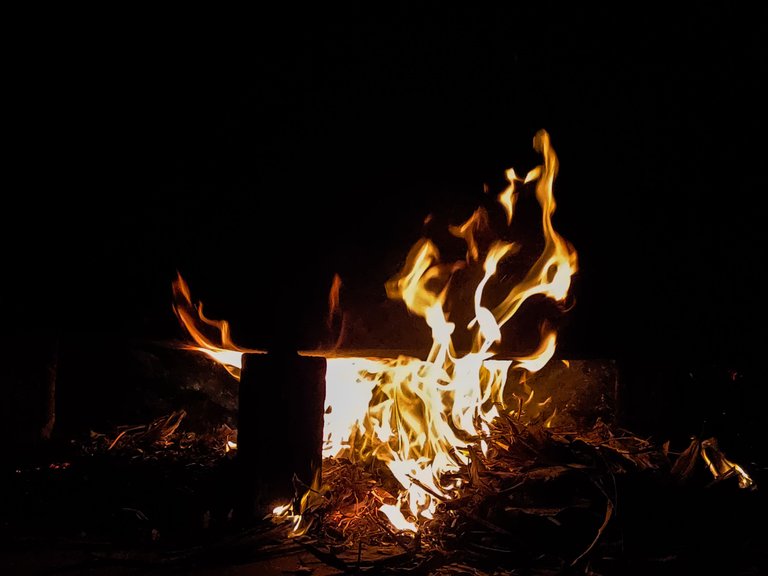 IMG20210516235342.jpg