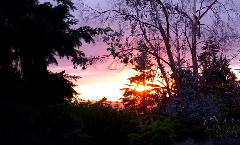20250619_210234.jpg