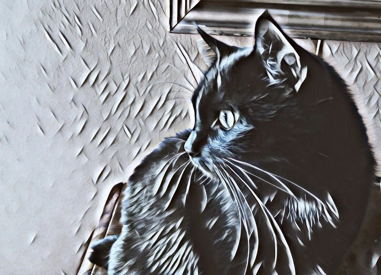 CCC042-ArtyCat.jpg