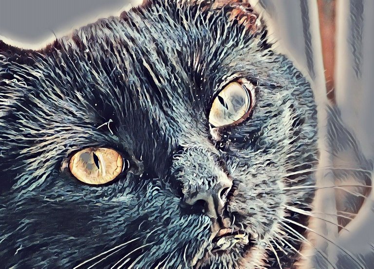 CCC042-ArtyCat2.jpg