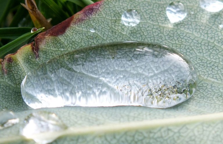 CCP-051-WaterDrop.JPG