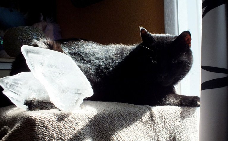 CC0642-CrystalCat.jpg