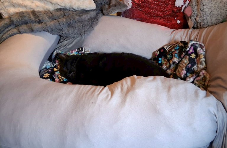 CC0730-MomsBed.jpg