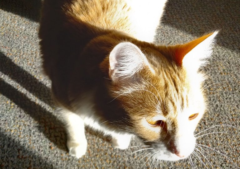 20250510_203339.jpg