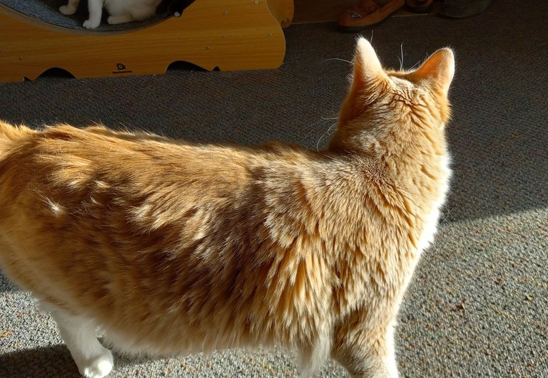 20250727_013732.jpg