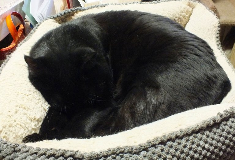 CC0719-Naptime.jpg