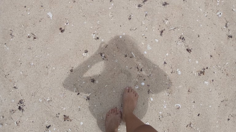 IMG20190629114732.jpg
