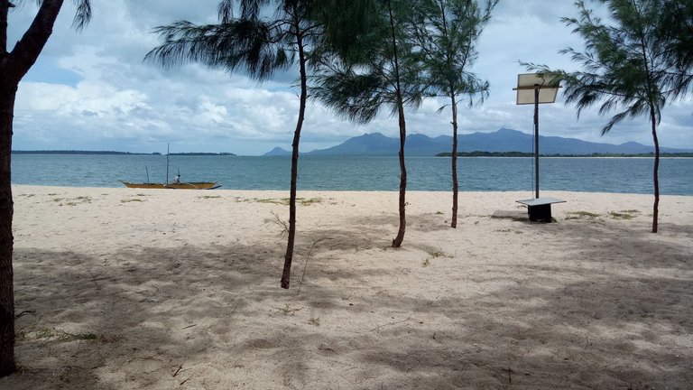 IMG20190629123000.jpg