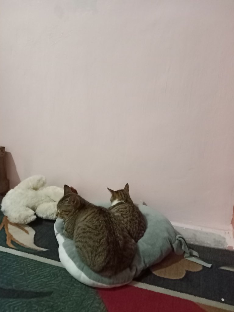 IMG20230120105226.jpg