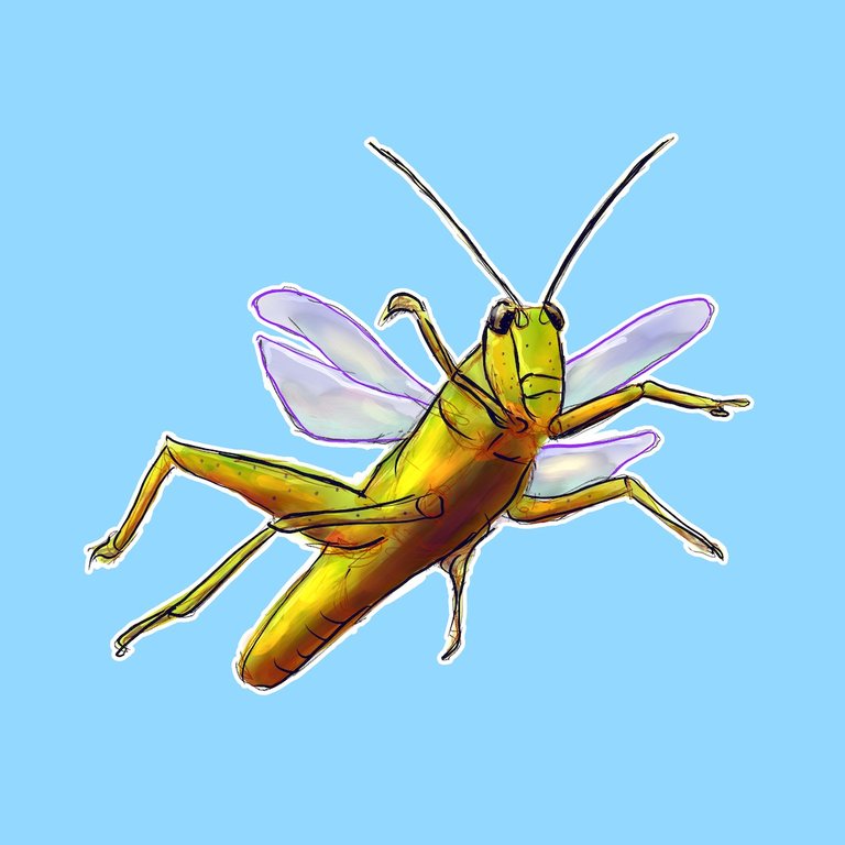 Grasshopper1080.jpg