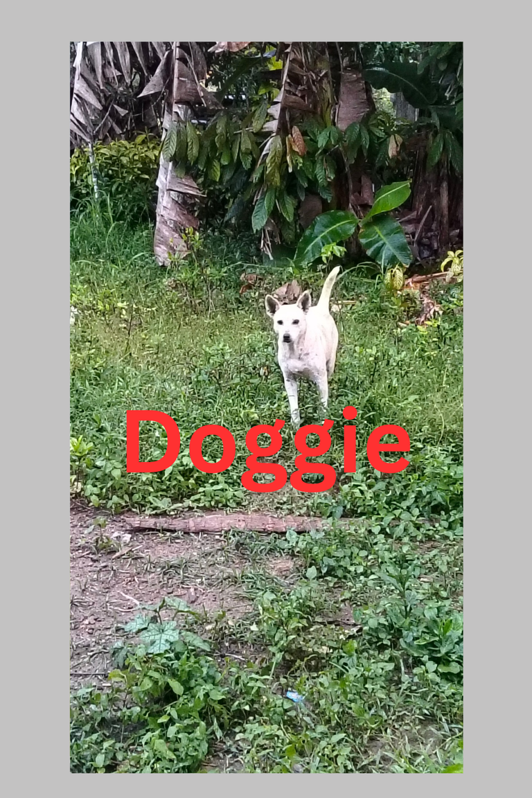 1000022657.png