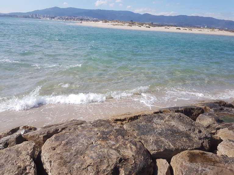 20201017_130246.jpg