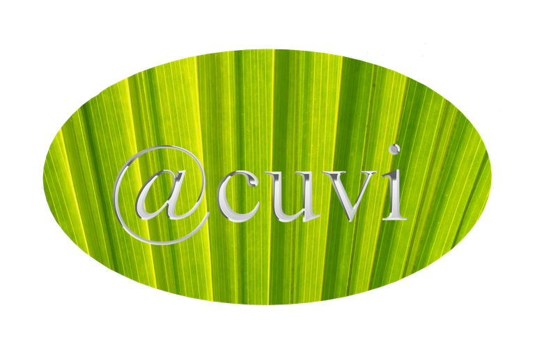 logo ok cuvi.png