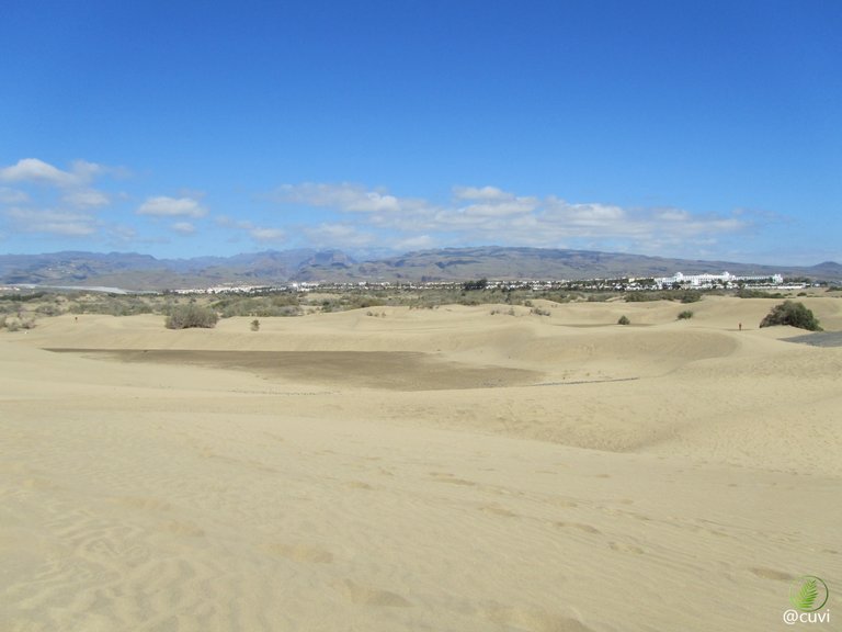 IMG_0529.JPG