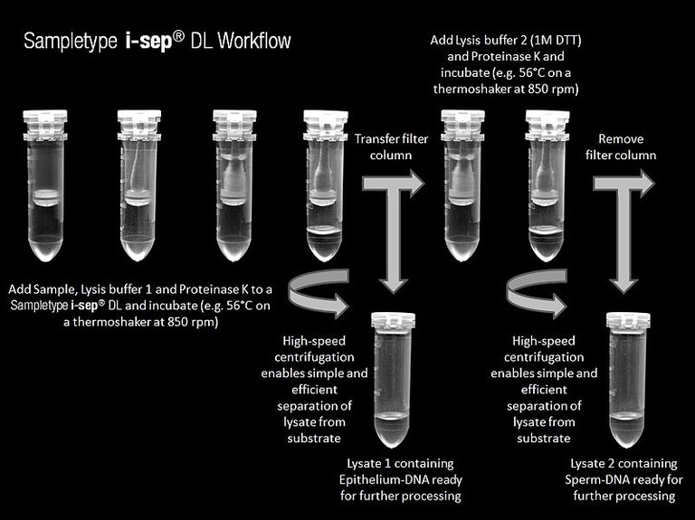 800px-Differential_lysis_in_a_single-tube_extraction_process_for_accurate_forensic_profiling.jpg