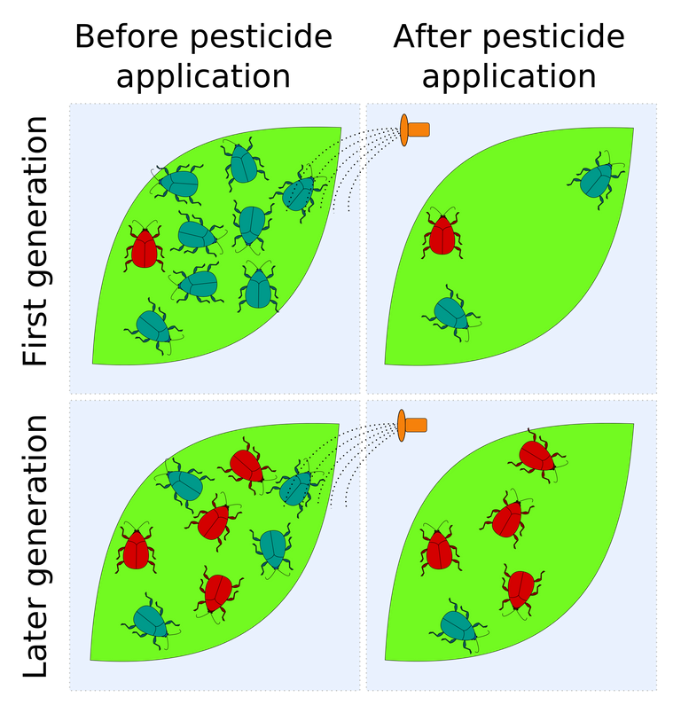 2000px-Pesticide_resistance.svg.png