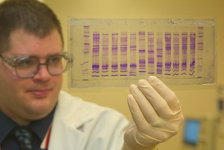 2000px-CBP_chemist_reads_a_DNA_profile.jpg