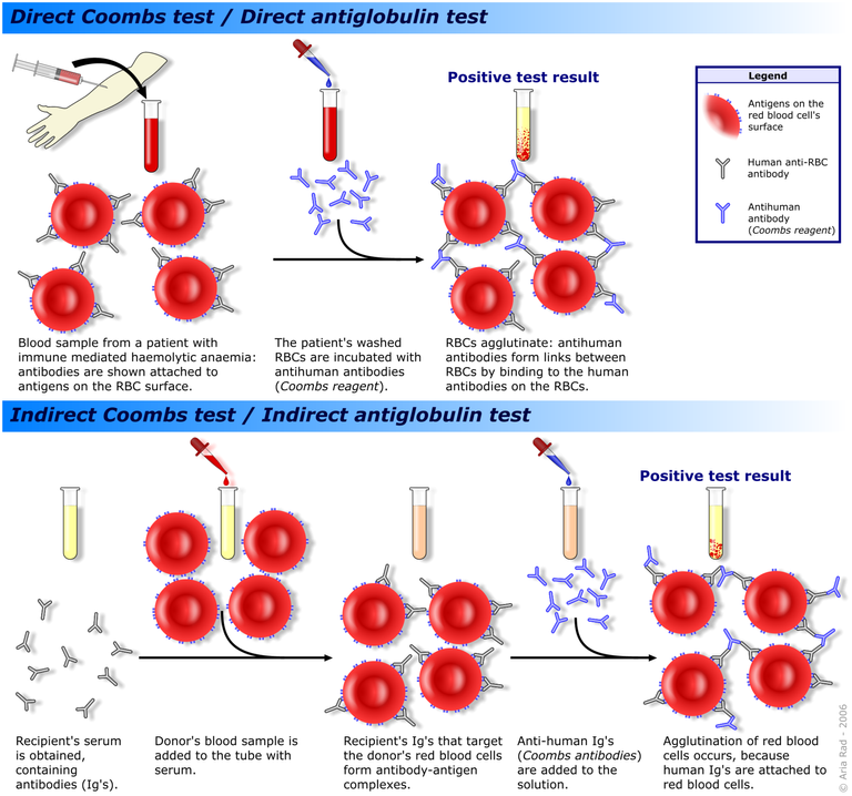 Coombs_test_schematic.png