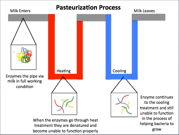 Pasteurization.png