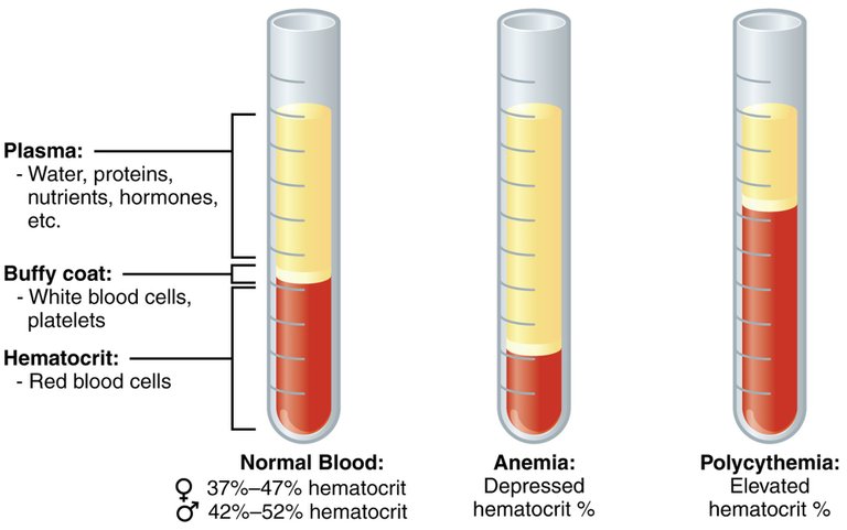 1901_Composition_of_Blood.jpg