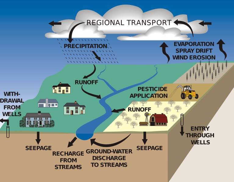 Pathways_of_pesticide_movement_in_the_hydrologic_cycle.png