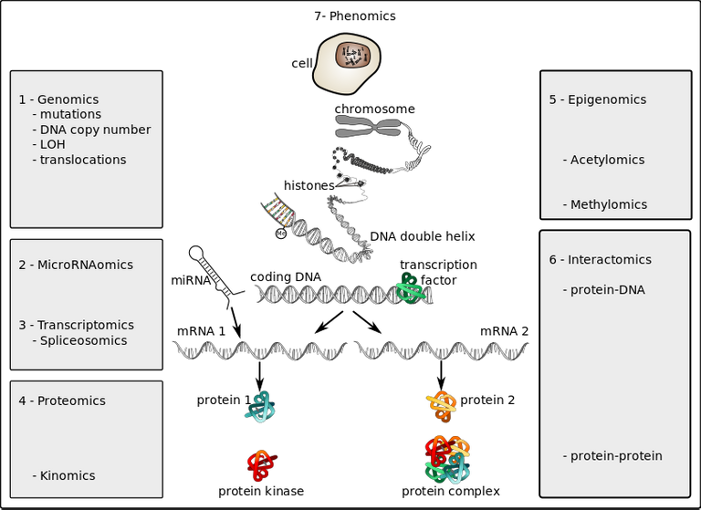 Omics_technologies_in_oncology.svg.png