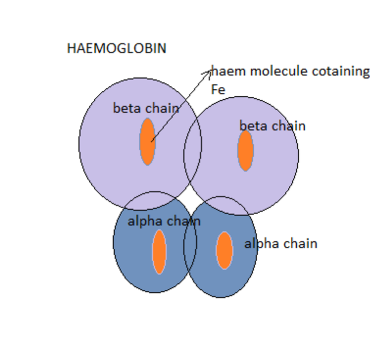 Haemoglobin_representation.png