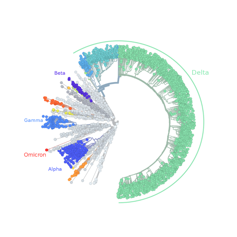 Omicron_SARS-CoV-2_radial_tree_2021-Nov-26.svg (1).png