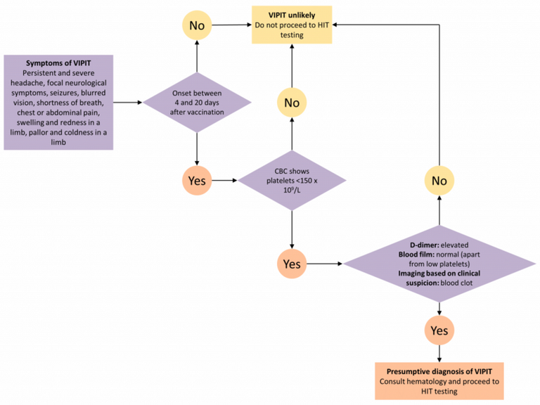 Decision_Tree_for_Diagnosing_and_Ruling_Out_VIPIT.png