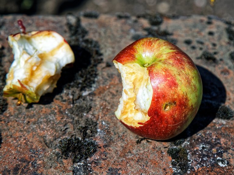 Part_eaten_apple_in_Copped_Hall_Kitchen_Garden,_Epping,_Essex,_England.jpg