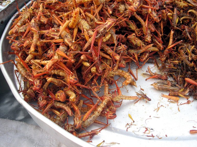 Fried_grasshoppers_in_Bangkok.jpg