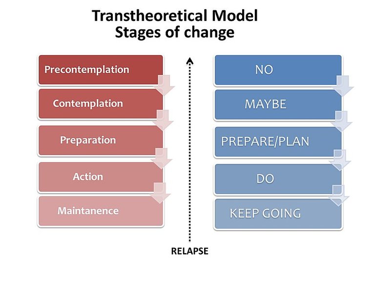 Transtheoretical_Model_-_Stages_of_change.jpg
